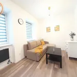 Rent 1 bedroom apartment of 25 m² in Chorzów