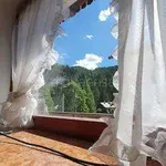 Rent 2 bedroom apartment of 55 m² in Val di Zoldo