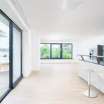 Rent 7 bedroom house of 300 m² in Prague