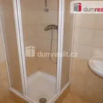 Rent 1 bedroom apartment in České Budějovice