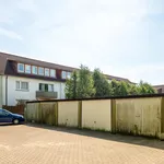 Rent 5 bedroom apartment of 93 m² in Zeven