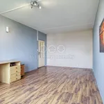 Rent 1 bedroom apartment of 41 m² in Plzeň