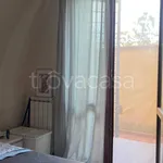 Rent 3 bedroom apartment of 66 m² in Pisa