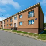 Rent 2 bedroom apartment in Příbram