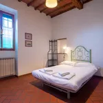 Rent 1 bedroom apartment in Florence