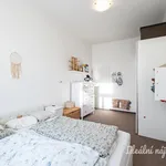 Rent 2 bedroom apartment of 50 m² in Prague