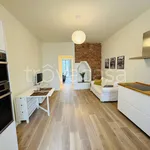 Rent 2 bedroom apartment of 57 m² in Milano