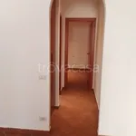 Rent 2 bedroom apartment of 45 m² in Roma