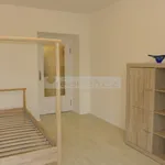 Rent 1 bedroom apartment in Pilsen