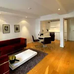 Rent 1 bedroom apartment of 42 m² in frankfurt