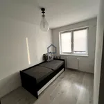 Rent 2 bedroom apartment of 46 m² in Włocławek