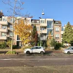 Huur 2 slaapkamer appartement van 57 m² in IJplein/Vogelbuurt