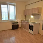 Rent 1 bedroom apartment of 30 m² in Praha