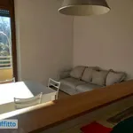 Rent 2 bedroom apartment of 65 m² in Biella