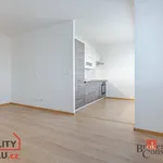 Rent 1 bedroom apartment in Ostrava