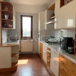 Rent 4 bedroom apartment of 171 m² in Santa Maria Hoè