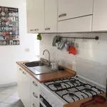 Rent 2 bedroom apartment of 55 m² in Rome