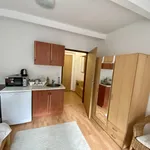 Pronajměte si 1 ložnic/e byt o rozloze 20 m² v Prague