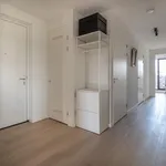 Rent 4 bedroom apartment of 130 m² in Krijgsman