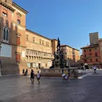 Rent 4 bedroom apartment of 90 m² in Bologna