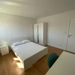 Rent 6 bedroom apartment in Lisbon