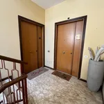 Rent 3 bedroom apartment of 70 m² in Ancona