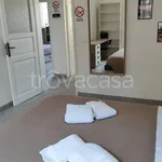 Rent 2 bedroom apartment of 54 m² in Bologna