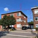 Rent 2 bedroom apartment in Mortsel