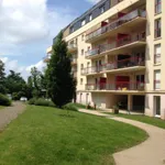 Appartement de 36 m² avec 2 chambre(s) en location à Le Mans