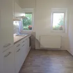 Rent 2 bedroom apartment of 68 m² in Děčín