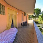 Rent 2 bedroom apartment of 60 m² in Porto San Giorgio