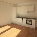 Rent 2 bedroom apartment of 51 m² in Graz