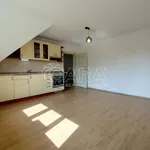 Rent 2 bedroom apartment in Capital City of Prague