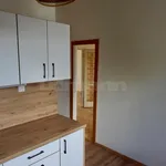 Pronajměte si 3 ložnic/e byt o rozloze 52 m² v Prague