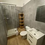 Pronajměte si 1 ložnic/e byt o rozloze 41 m² v vizovice