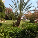 Rent 2 bedroom apartment of 75 m² in Castellon']