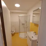 Rent 2 bedroom apartment in Brno venkov