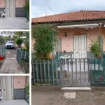 Rent 2 bedroom apartment of 45 m² in Mascali