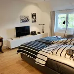 Rent 1 bedroom apartment of 25 m² in Dusseldorf