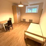 Pronajměte si 1 ložnic/e byt o rozloze 25 m² v Prague