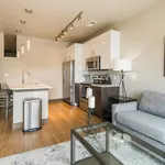 Rent 1 bedroom apartment in Capitol Hill