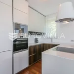 Rent 3 bedroom apartment of 145 m² in Zagreb