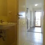 Rent 1 bedroom apartment of 63 m² in Pilsen