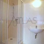 Rent 4 bedroom apartment of 141 m² in Prague