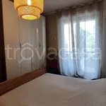 Rent 3 bedroom apartment of 110 m² in Novara