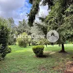 Rent 4 bedroom apartment of 100 m² in Lucca