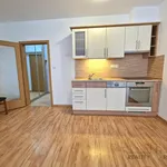 Rent 1 bedroom apartment in Brno