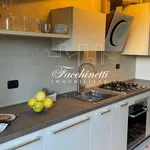 Rent 2 bedroom apartment of 66 m² in Milan