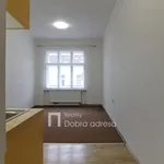 Pronajměte si 1 ložnic/e byt o rozloze 45 m² v Prague