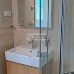 Rent 2 bedroom apartment of 75 m² in Lipno nad Vltavou